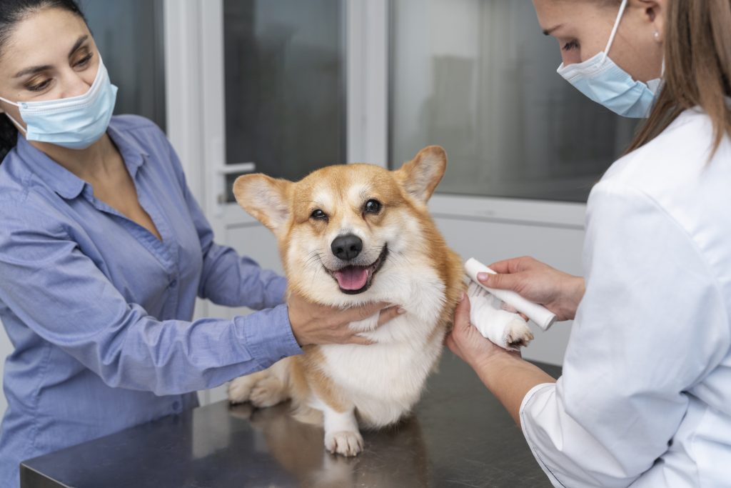 Dierenkliniek in Uden